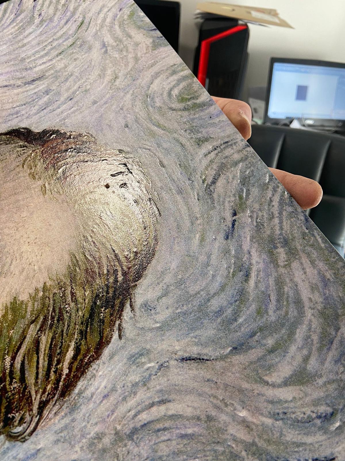 Brushstroke macro — print and topography registered to the same coordinates.