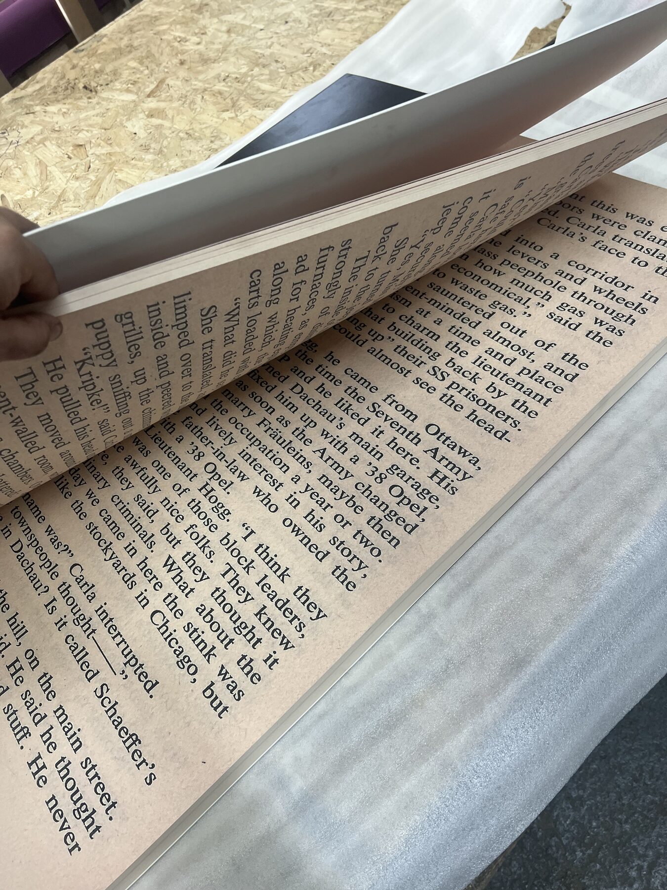 Interior spread — text scaled but every line preserved.